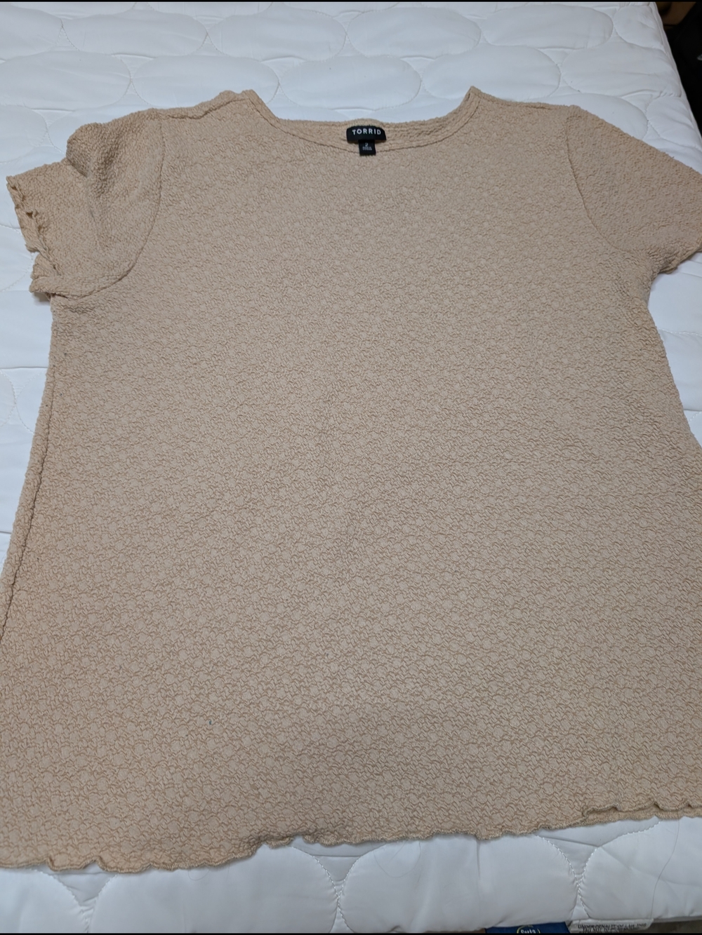 torrid Short Sleeve Textured Tee in Light Beige